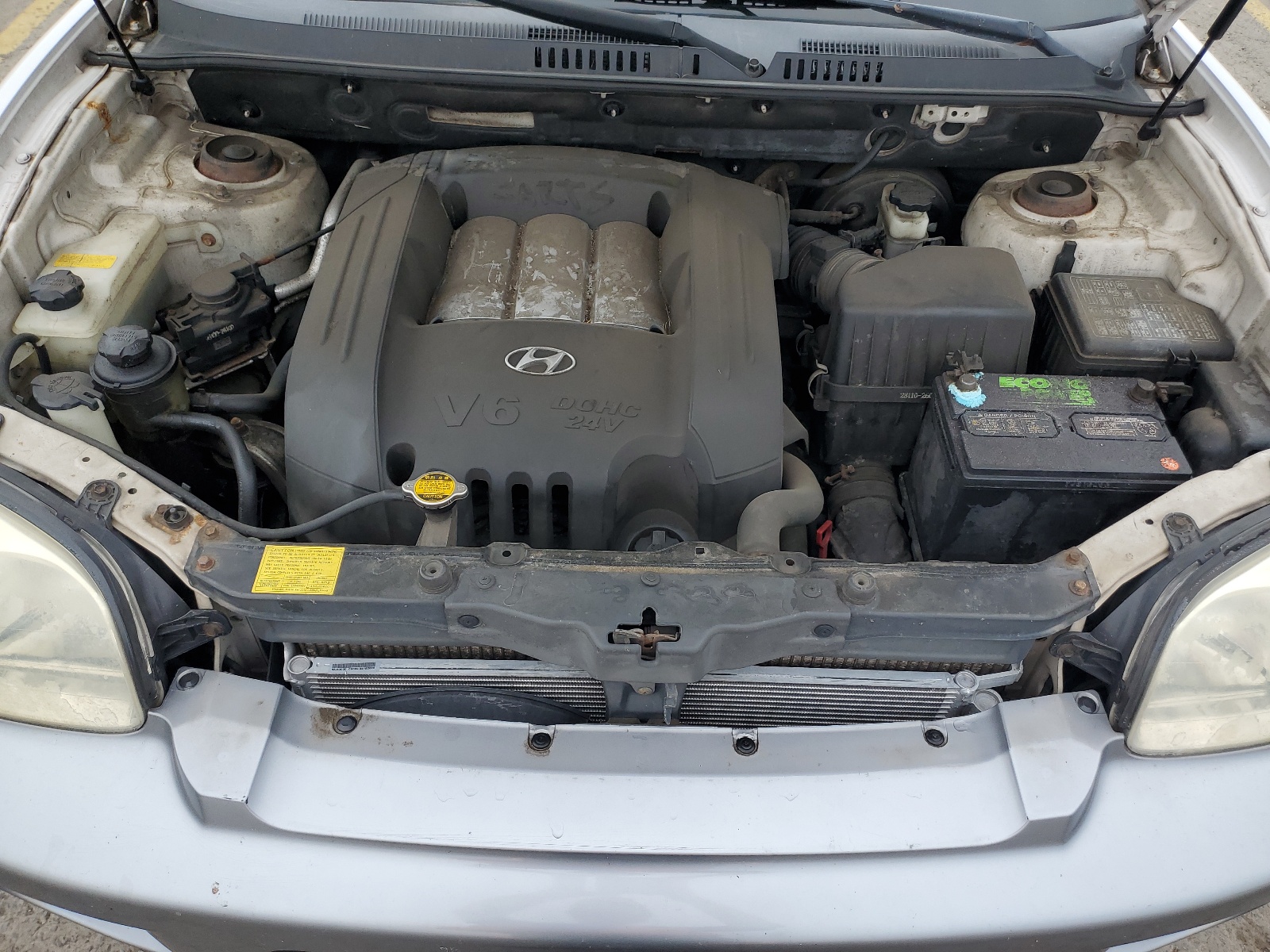 KM8SC13DX4U589959 2004 Hyundai Santa Fe Gls