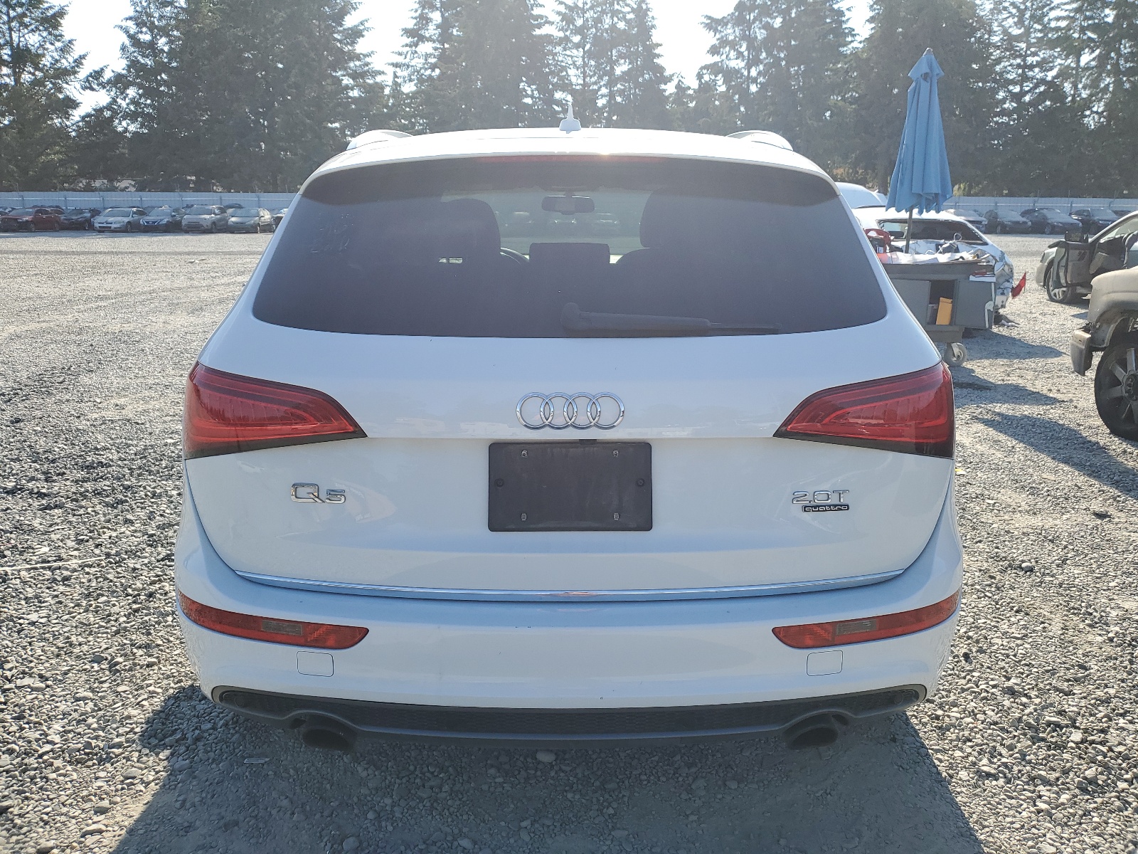 2017 Audi Q5 Premium Plus vin: WA1M2AFP7HA037746