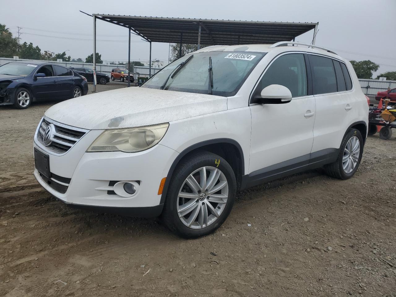 2010 Volkswagen Tiguan S VIN: WVGAV7AX6AW512463 Lot: 61803524