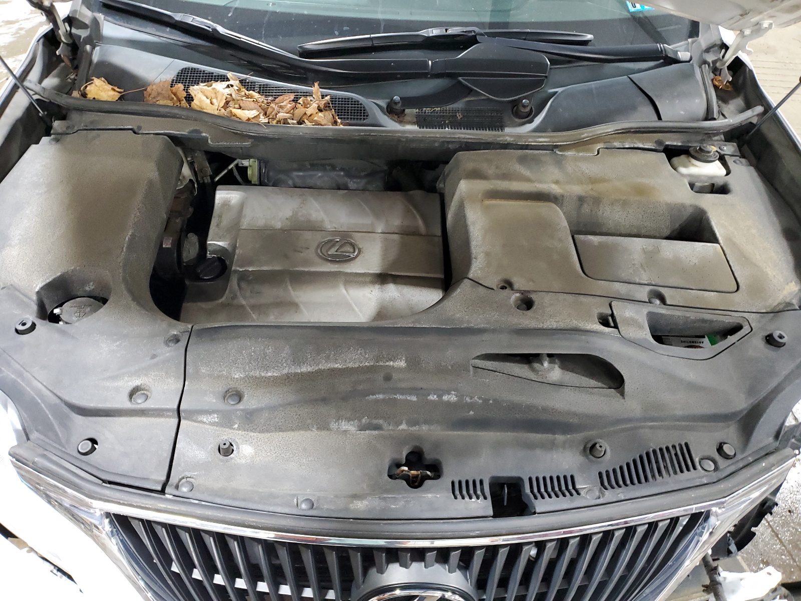 2T2BK1BAXAC015784 2010 Lexus Rx 350