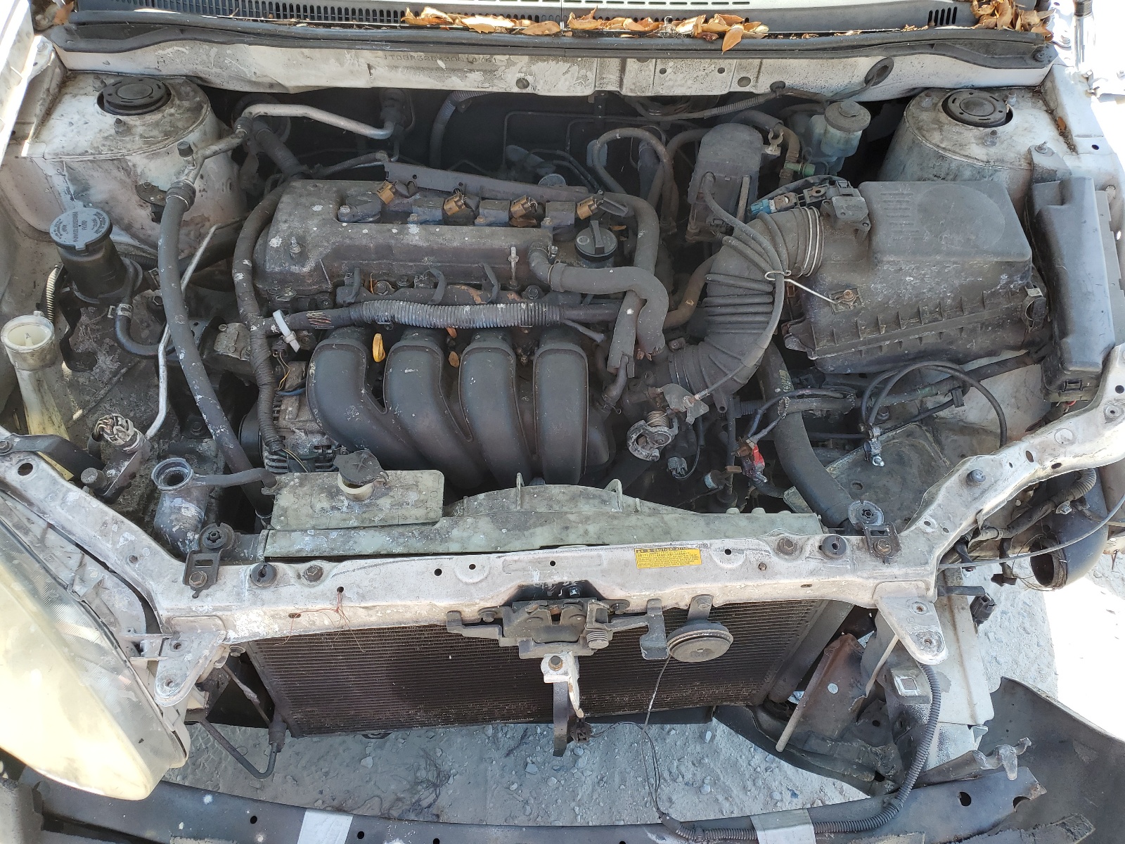 JTDBR32EX30014761 2003 Toyota Corolla Ce