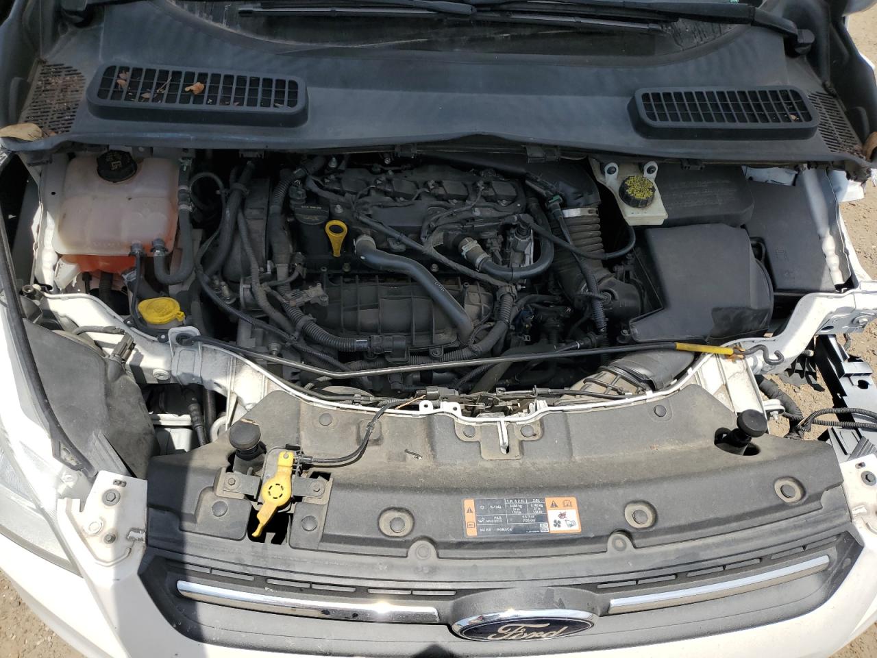 2014 Ford Escape Se VIN: 1FMCU0GX0EUC49379 Lot: 64632934