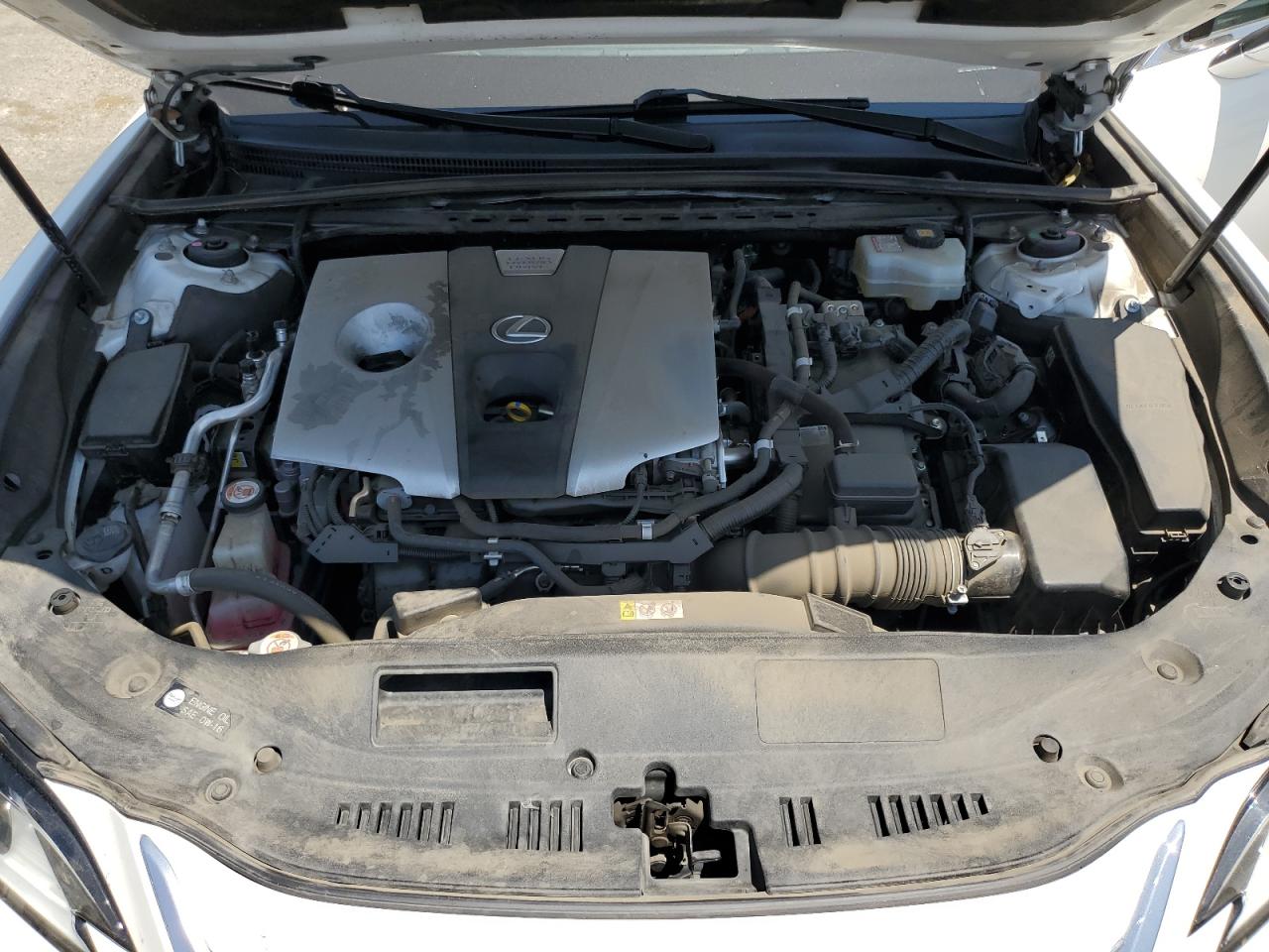 2019 Lexus Es 300H VIN: JTHB21B17K2006138 Lot: 65343384