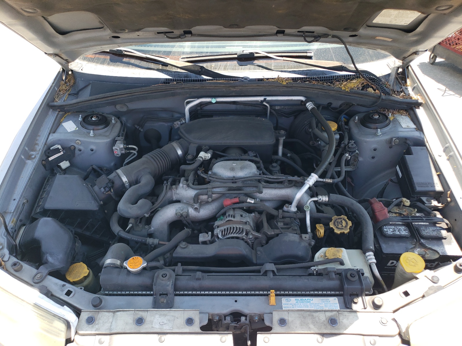 JF1SG656X6H750333 2006 Subaru Forester 2.5X Premium