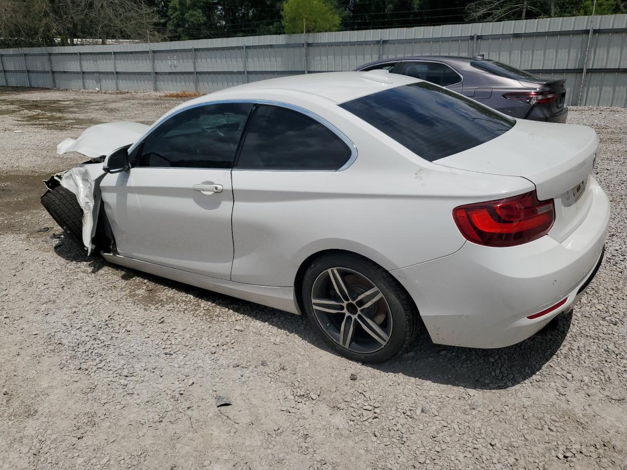 2017 BMW 230I VIN: WBA2F9C38HV665015 Lot: 62553224