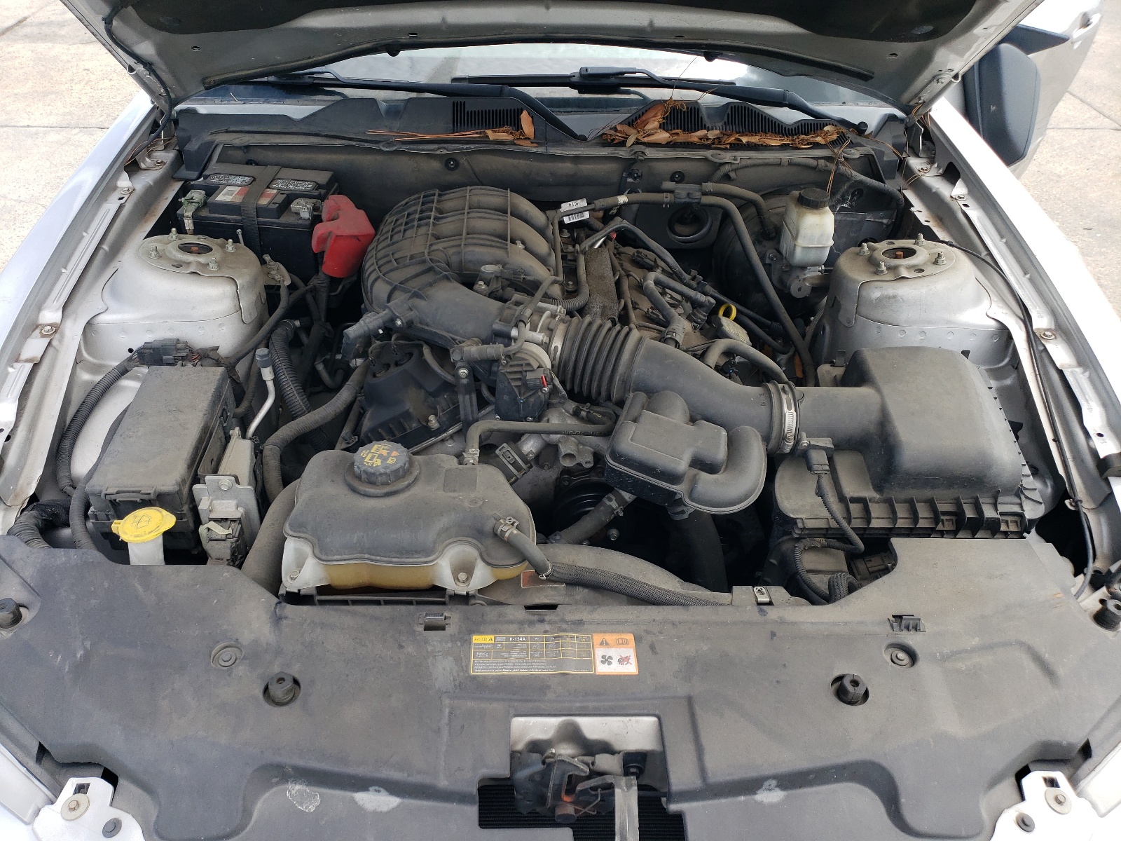 1ZVBP8AM5C5215821 2012 Ford Mustang