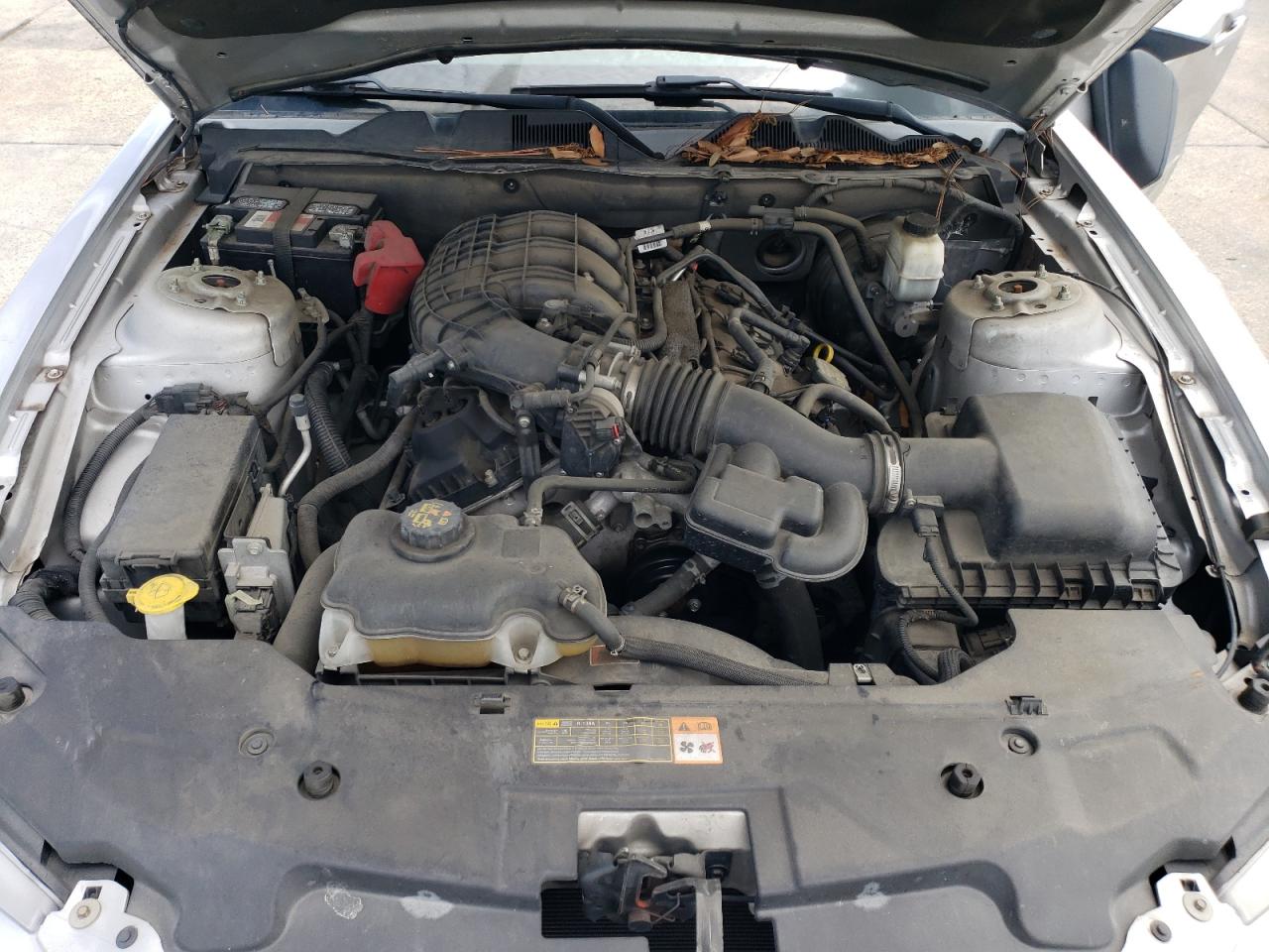 2012 Ford Mustang VIN: 1ZVBP8AM5C5215821 Lot: 63242584