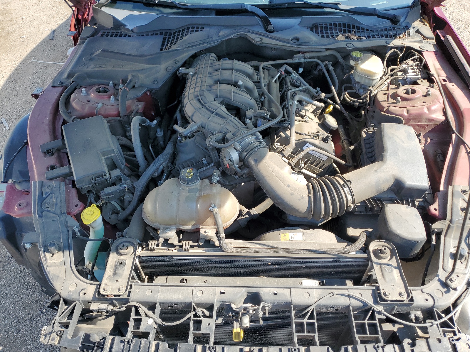 1FA6P8AM9G5281398 2016 Ford Mustang