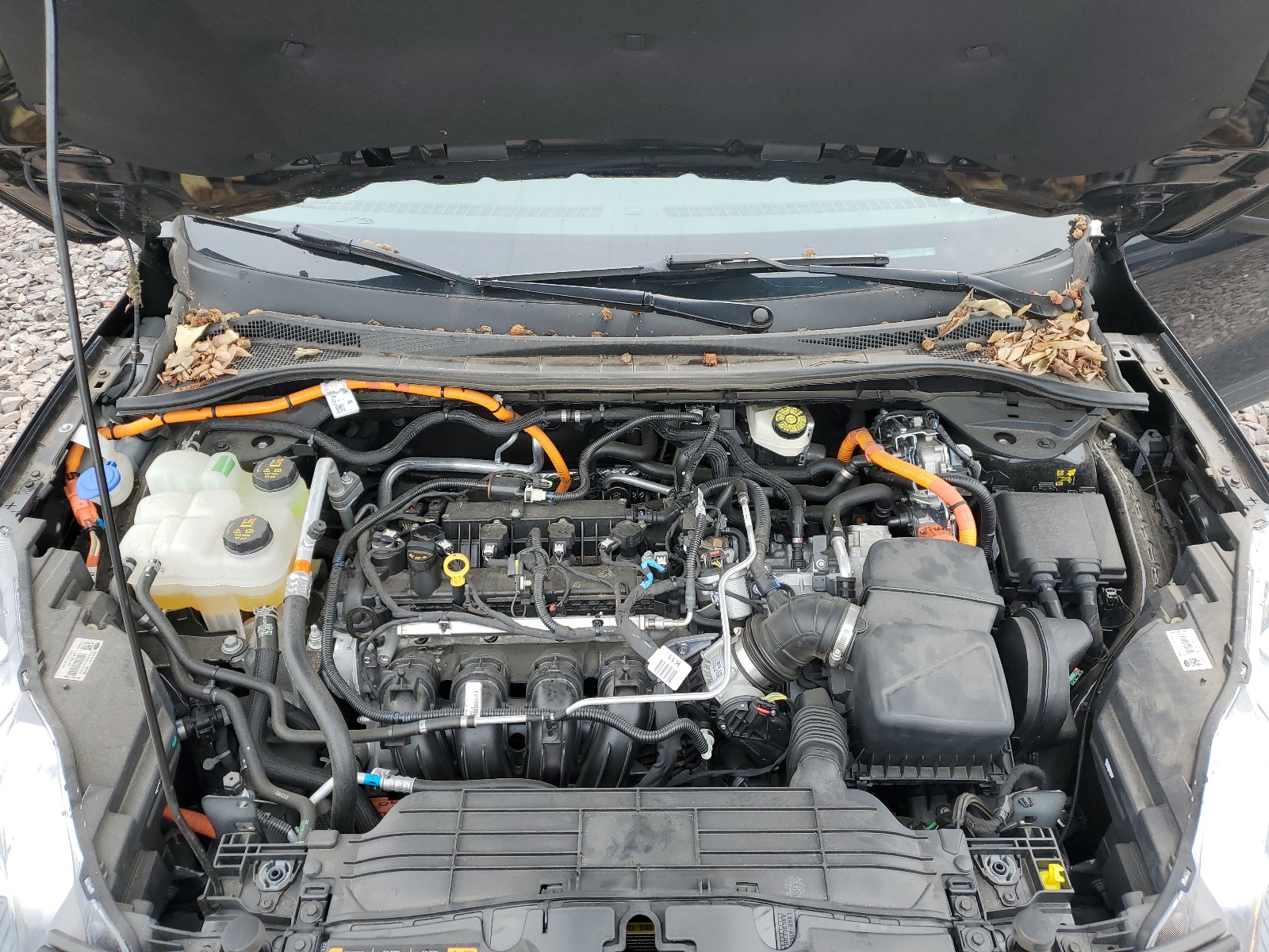 1FMCU9DZ8NUA28509 2022 Ford Escape Titanium