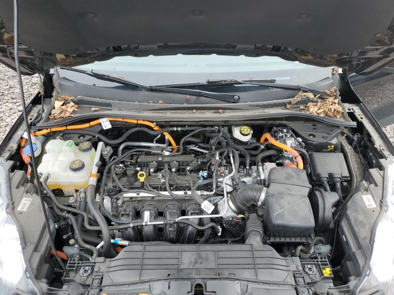 2022 Ford Escape Titanium VIN: 1FMCU9DZ8NUA28509 Lot: 63715394