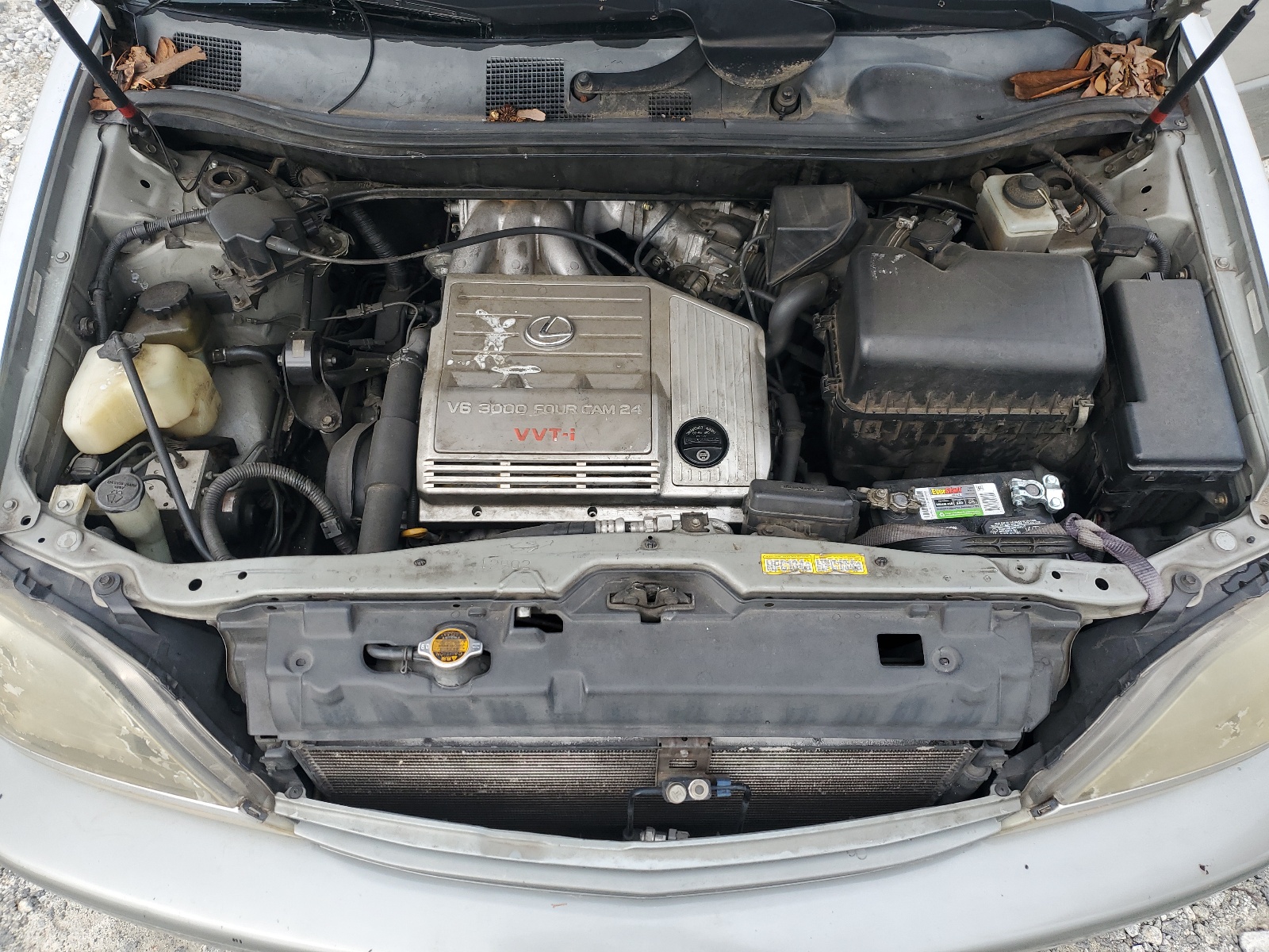 JT6GF10U5X0013155 1999 Lexus Rx 300