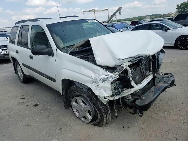 2003 Chevrolet Trailblazer VIN: 1GNDT13S232273761 Lot: 62839034