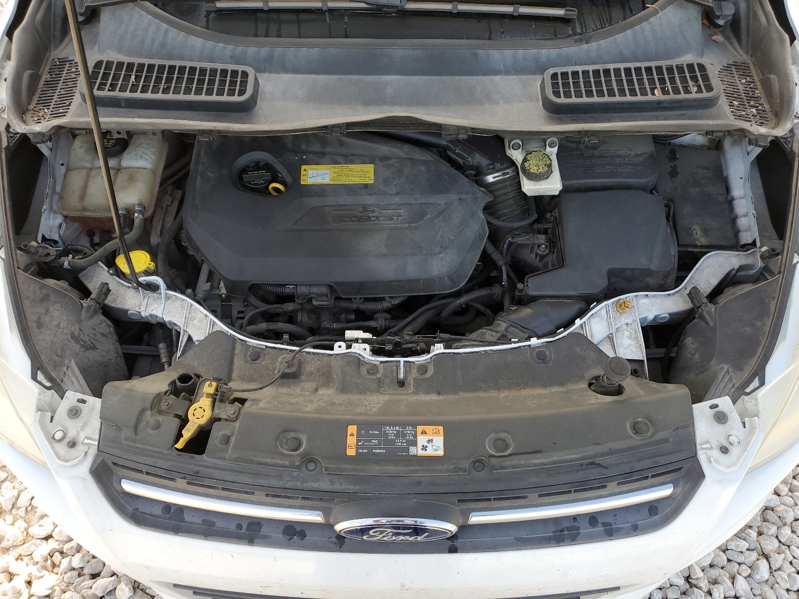 1FMCU0GX1DUD85728 2013 Ford Escape Se