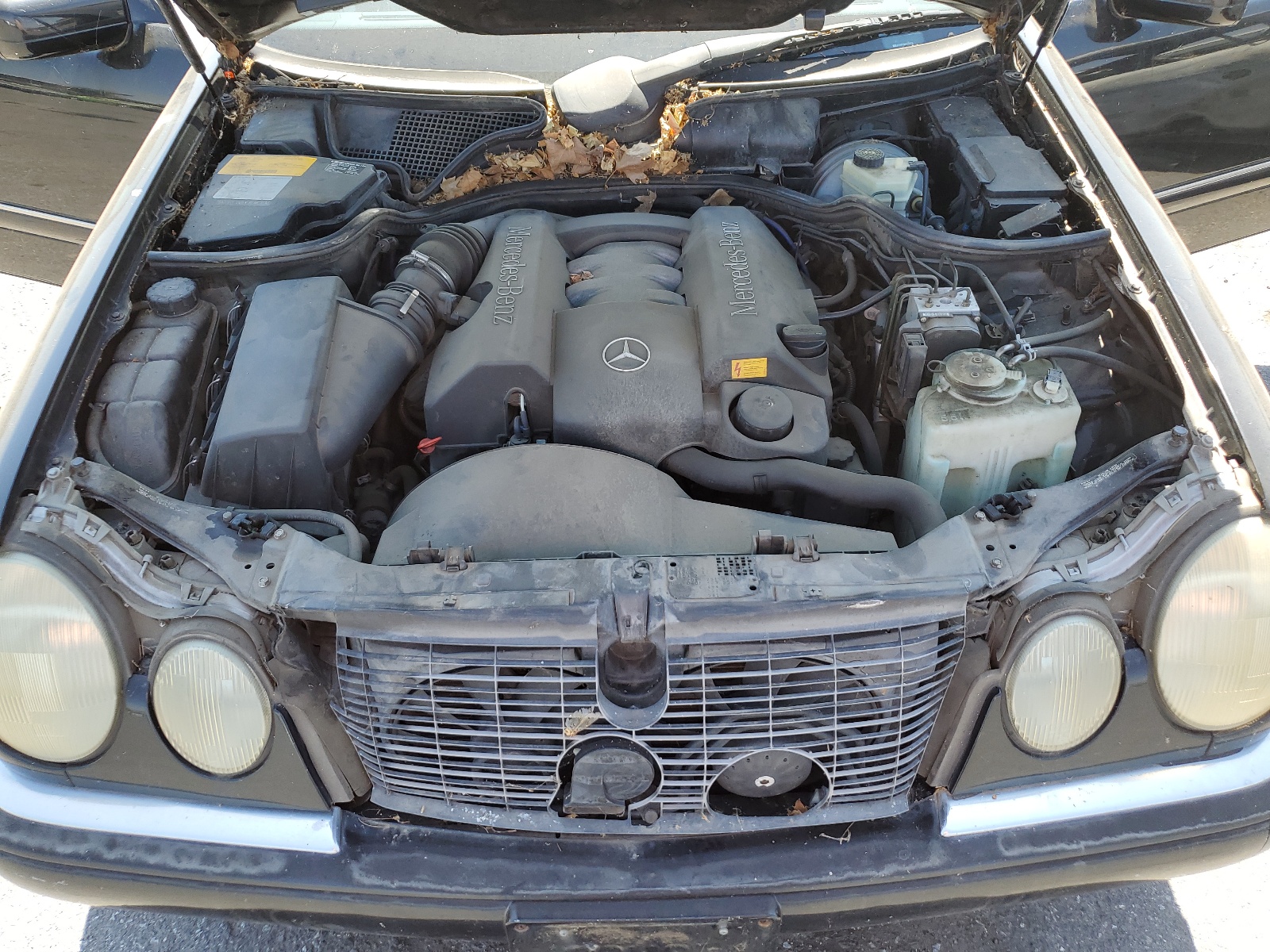 WDBJF65F7WA653879 1998 Mercedes-Benz E 320