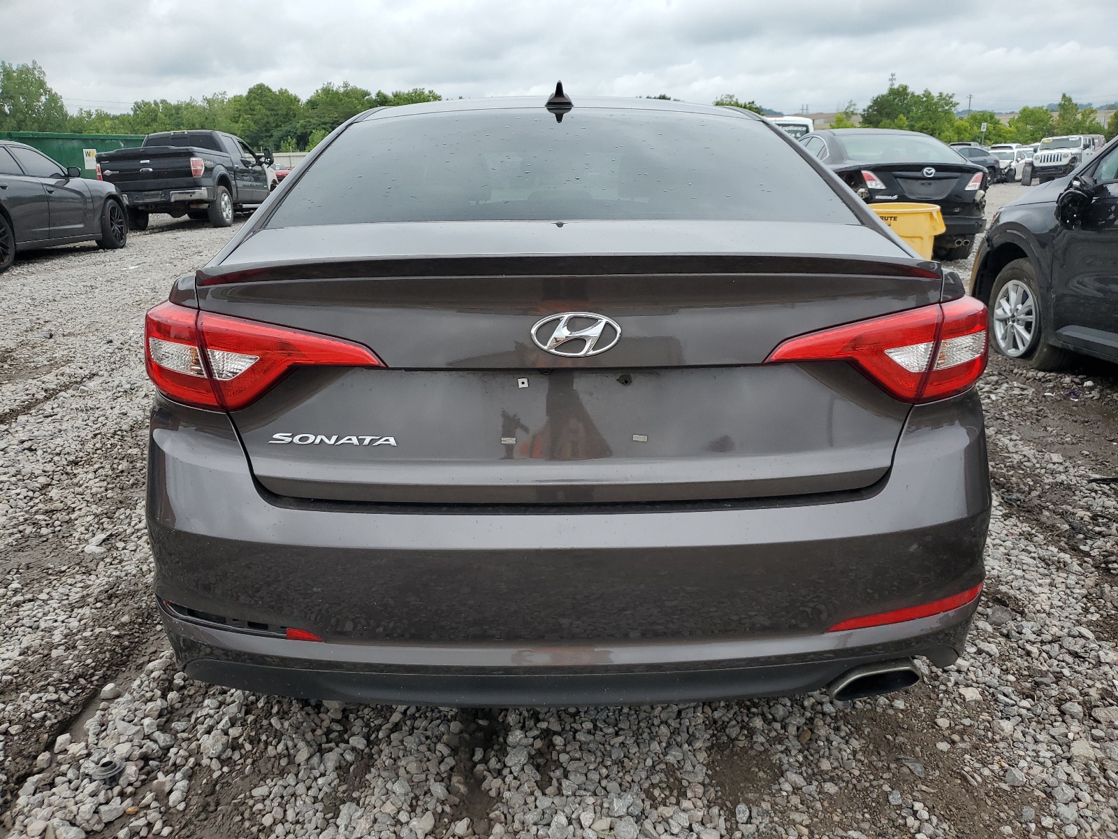 5NPE24AF8GH316348 2016 Hyundai Sonata Se