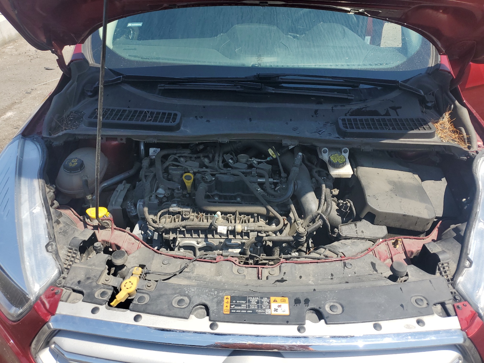 1FMCU9GD6KUC00970 2019 Ford Escape Se