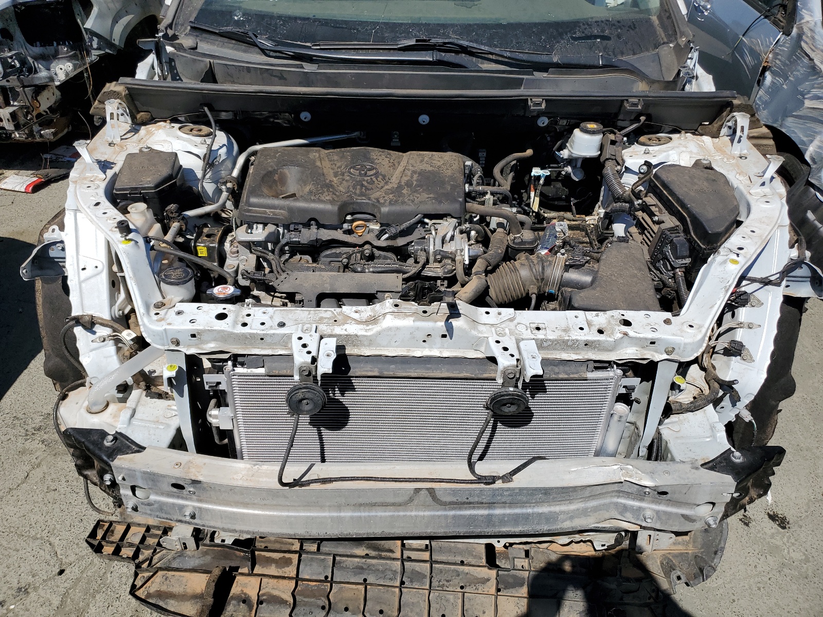 2T3H1RFV5KW017673 2019 Toyota Rav4 Le