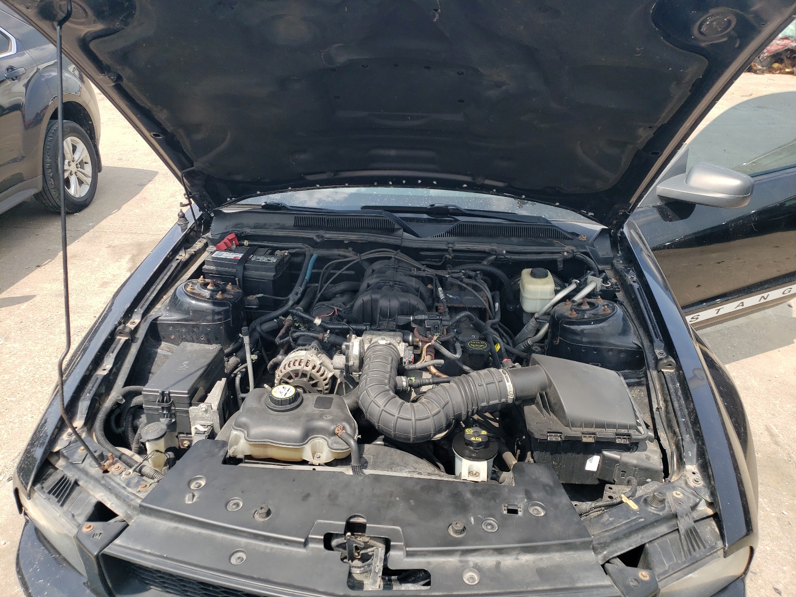 1ZVFT80N375325988 2007 Ford Mustang