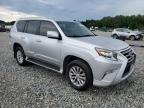2014 Lexus Gx 460 იყიდება Tifton-ში, GA - Minor Dent/Scratches
