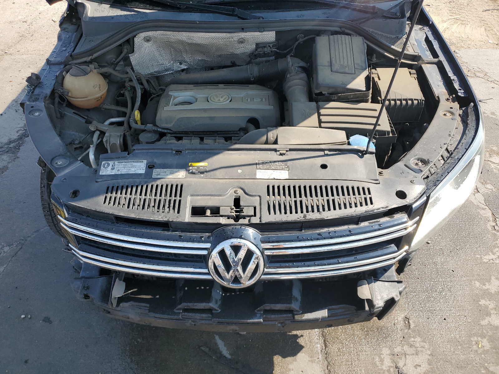 WVGBV7AX7FW569377 2023 Volkswagen Tiguan S