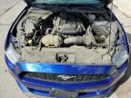 2016 Ford Mustang  for Sale in Littleton, CO - Hail