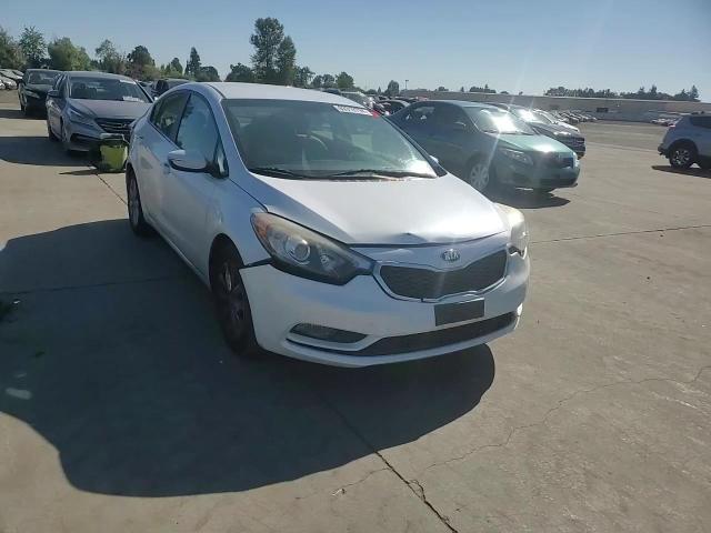 2014 Kia Forte Ex VIN: KNAFX4A8XE5079508 Lot: 63319794