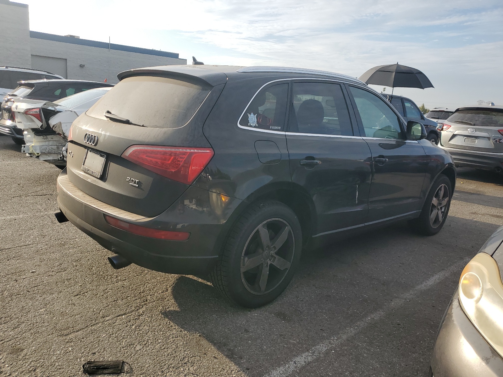 WA1LFAFP0BA005003 2011 Audi Q5 Premium Plus