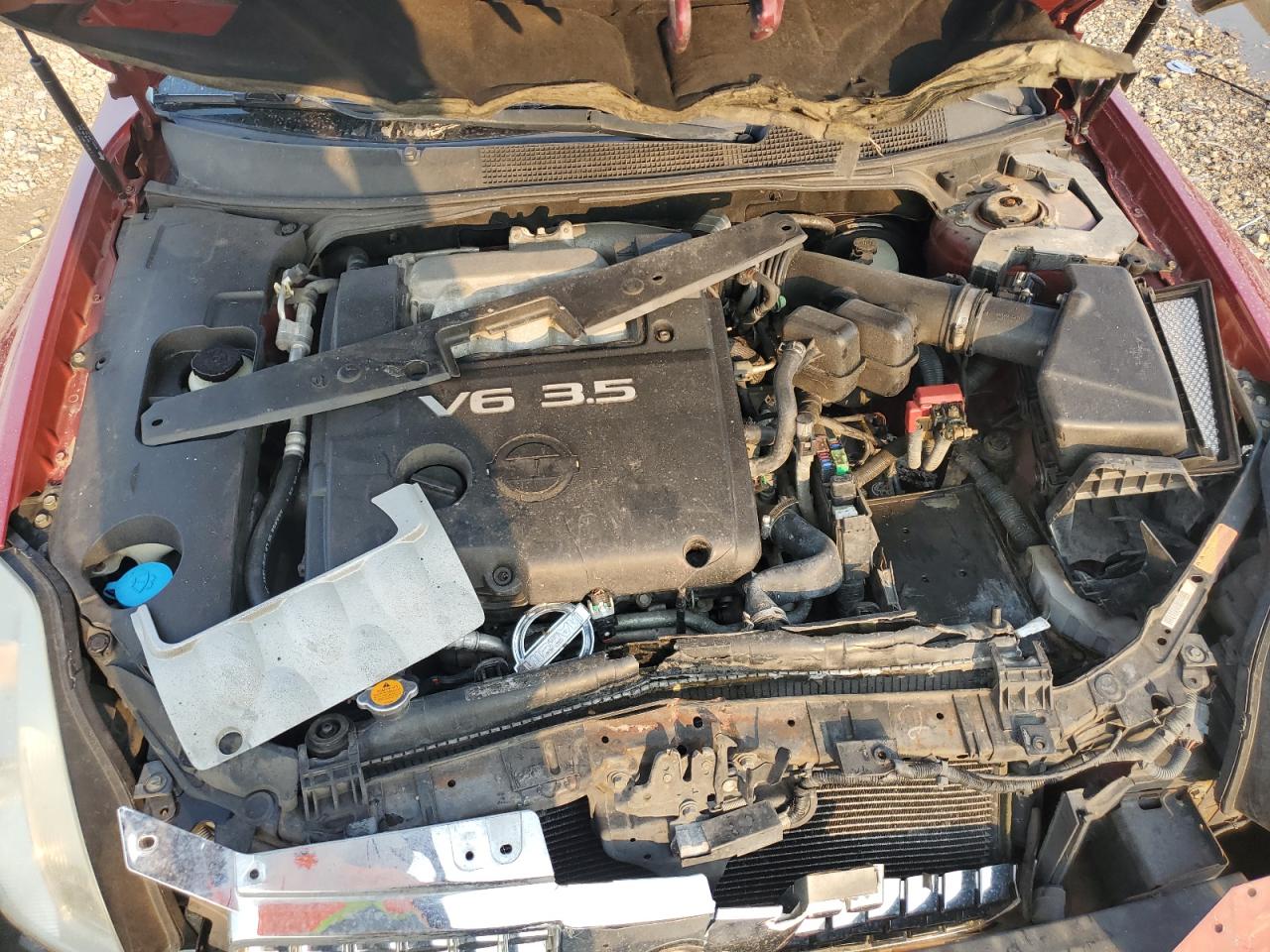 2005 Nissan Maxima Se VIN: 1N4BA41E85C844757 Lot: 62654124