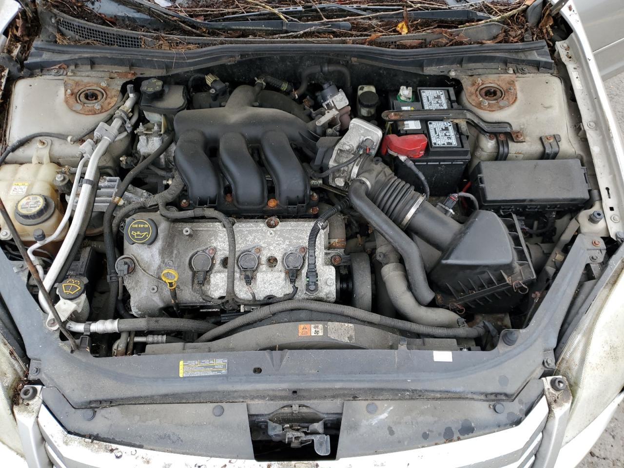 2007 Ford Fusion Sel VIN: 3FAHP08177R189239 Lot: 64064994