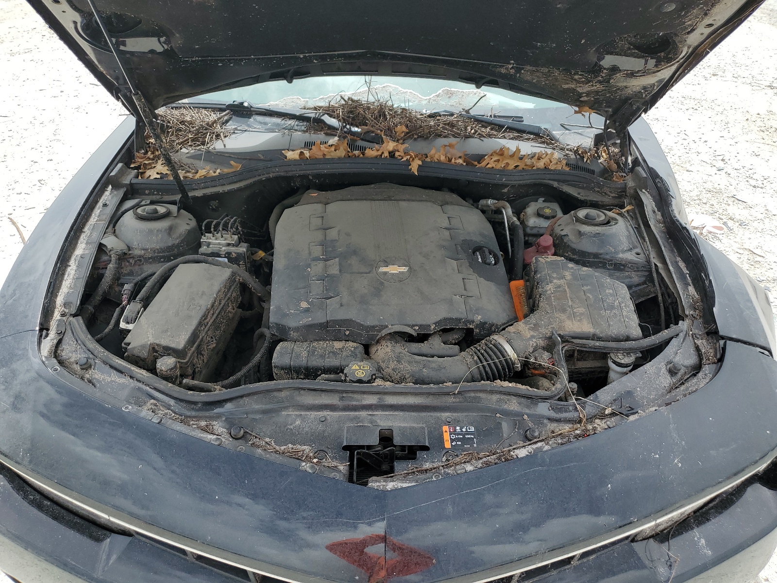 2G1FB1E35E9246061 2014 Chevrolet Camaro Lt