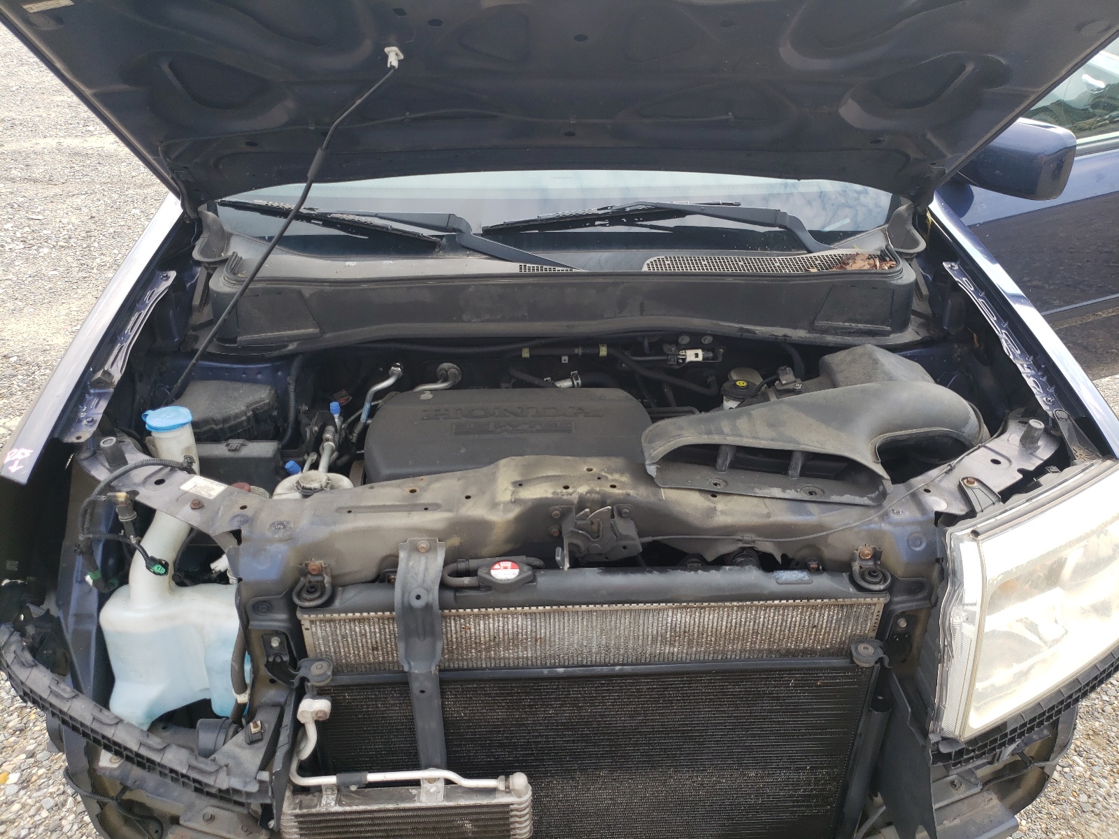 5FNYF4H69EB027028 2014 Honda Pilot Exl