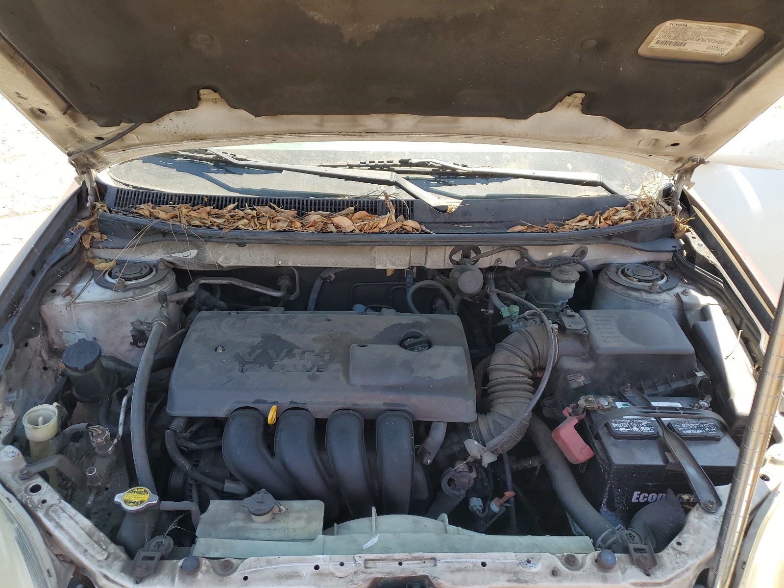 2T1KR32E53C055160 2003 Toyota Corolla Matrix Xr