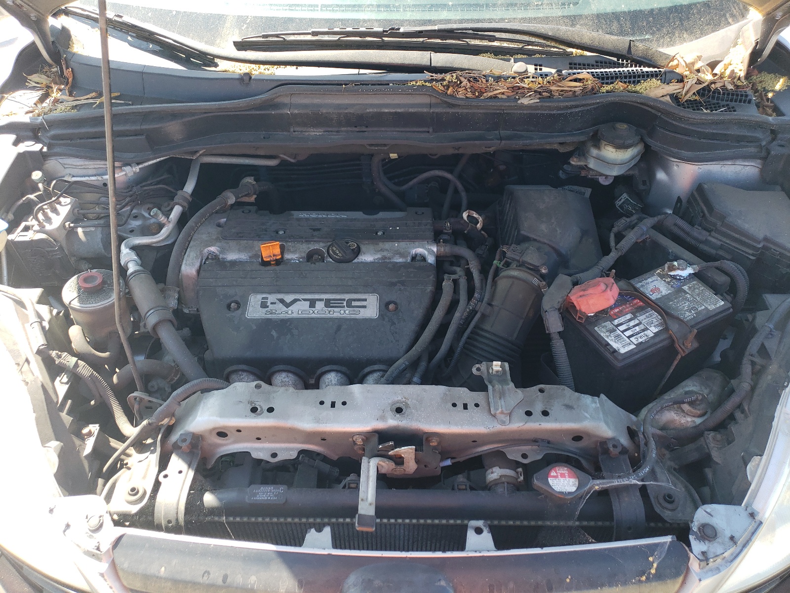 5J6RE48307L006463 2007 Honda Cr-V Lx