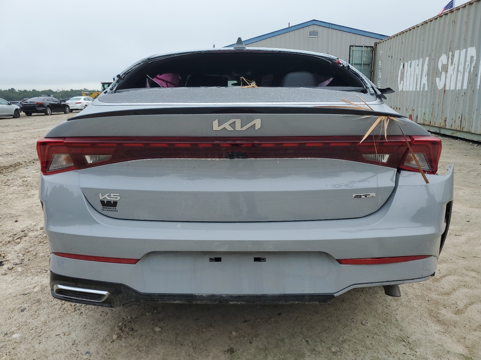 5XXG64J24RG266816 2024 Kia K5 Gt Line