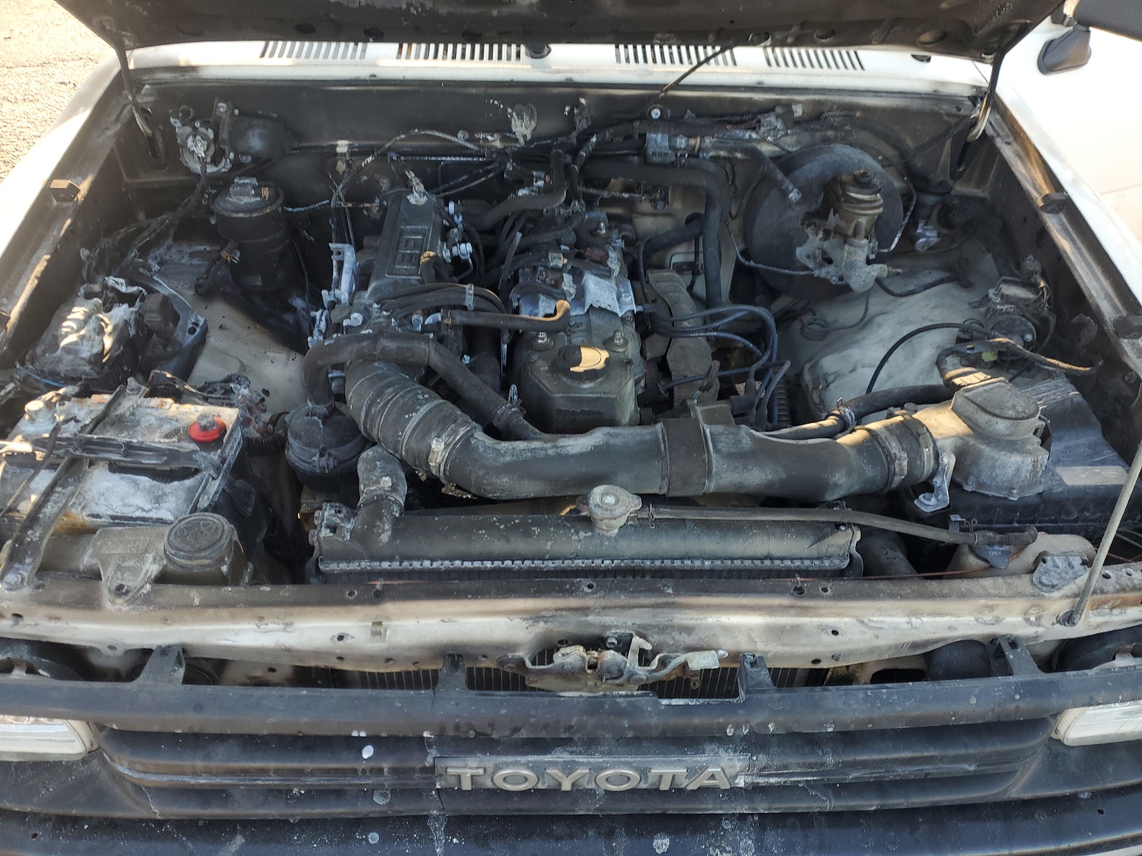 JT4RN81A9M0064686 1991 Toyota Pickup 1/2 Ton Short Wheelbase