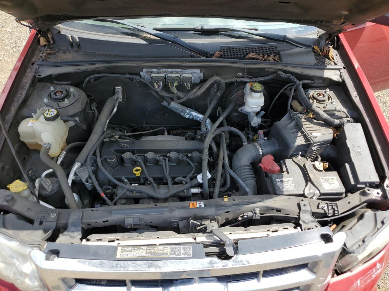 2010 Ford Escape Xlt VIN: 1FMCU0D78AKB06819 Lot: 64911444