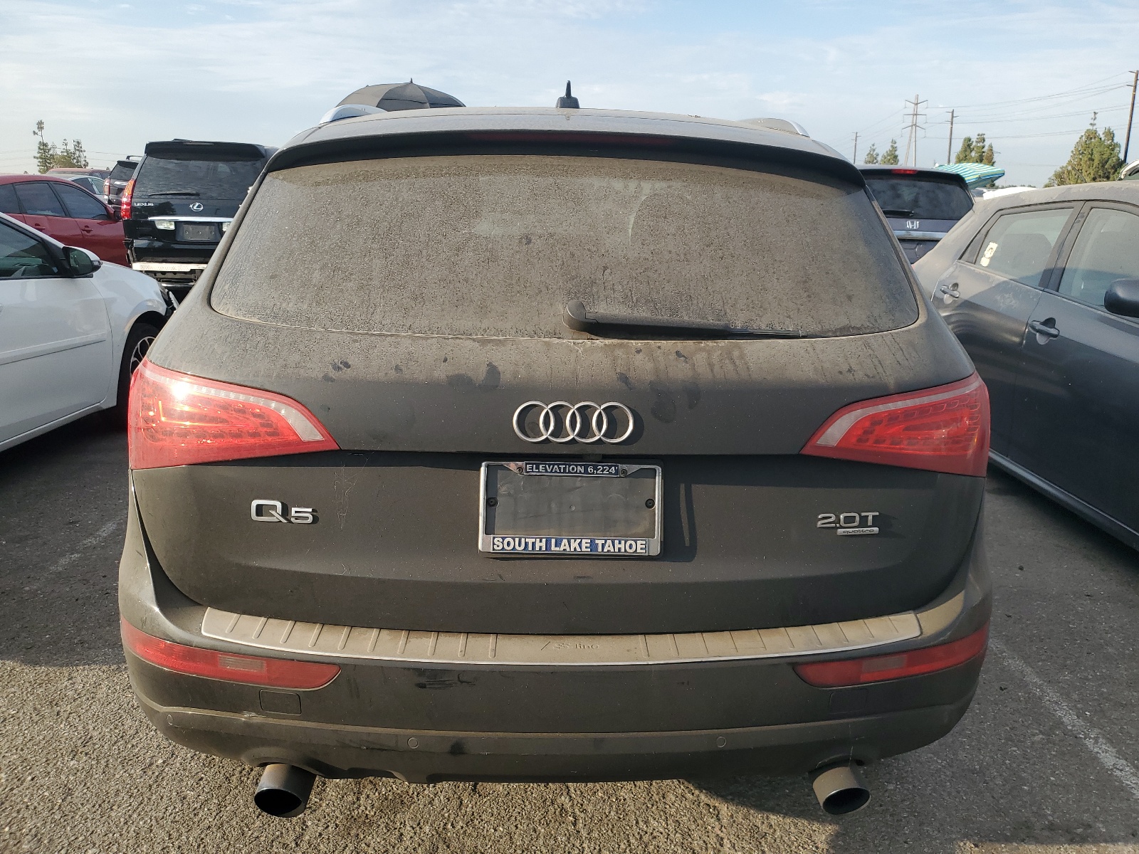 WA1LFAFP0BA005003 2011 Audi Q5 Premium Plus