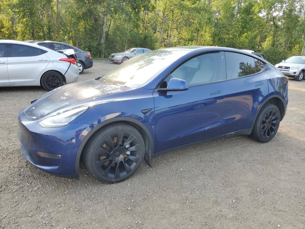 2021 Tesla Model Y VIN: 5YJYGDEE7MF302791 Lot: 63614654