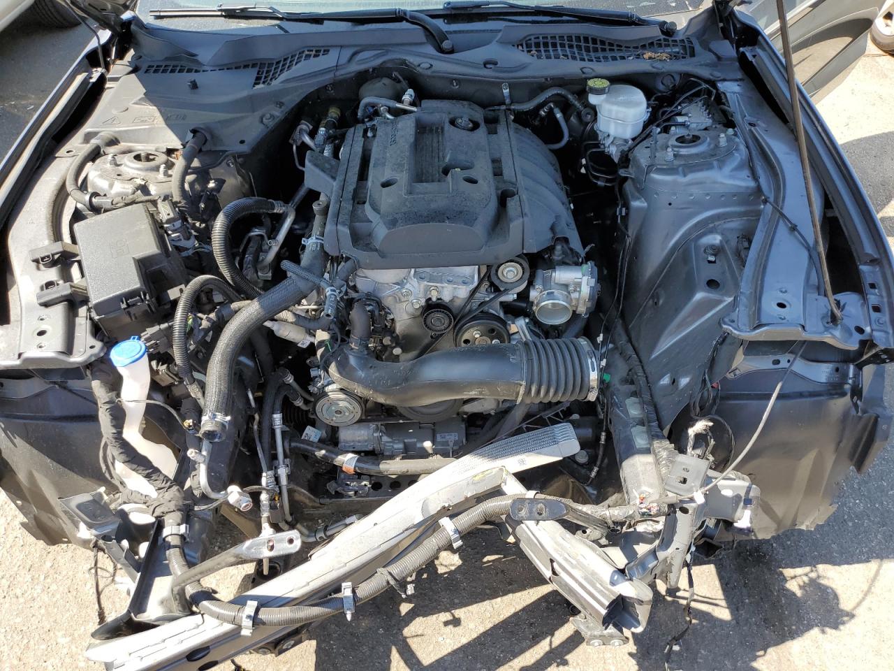 2022 Ford Mustang VIN: 1FA6P8TH8N5123003 Lot: 63623574