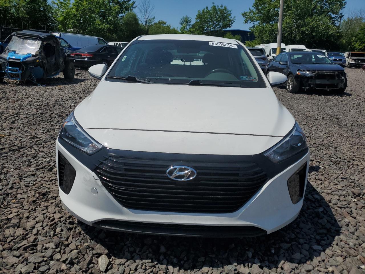 2019 Hyundai Ioniq Blue VIN: KMHC65LC8KU179099 Lot: 63516614