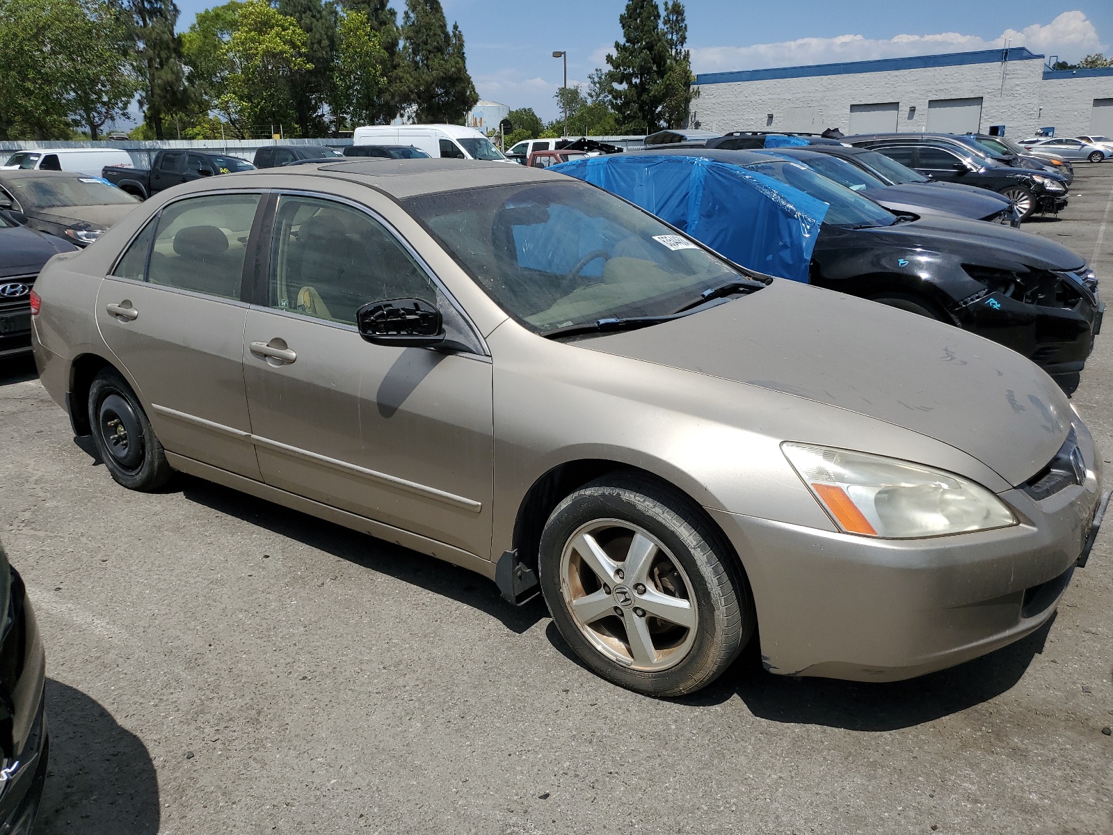 JHMCM56824C030891 2004 Honda Accord Ex