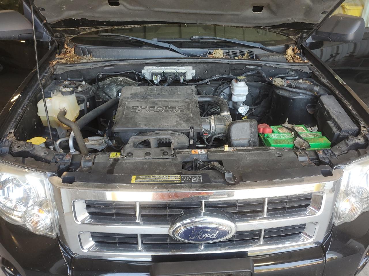 2009 Ford Escape Xlt VIN: 1FMCU93G69KC03518 Lot: 64575144