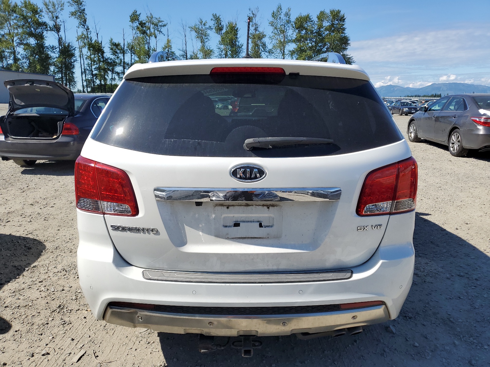 5XYKWDA24DG354599 2013 Kia Sorento Sx