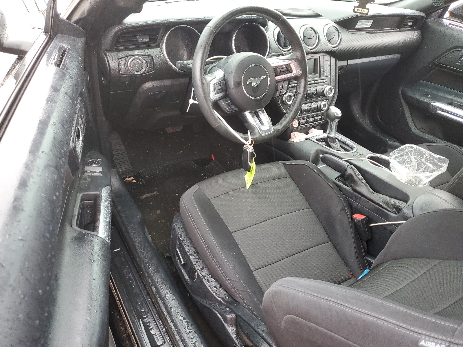 1FA6P8AM4F5368978 2015 Ford Mustang