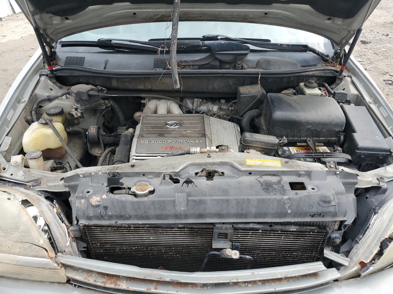 JT6HF10U4X0046944 1999 Lexus Rx 300