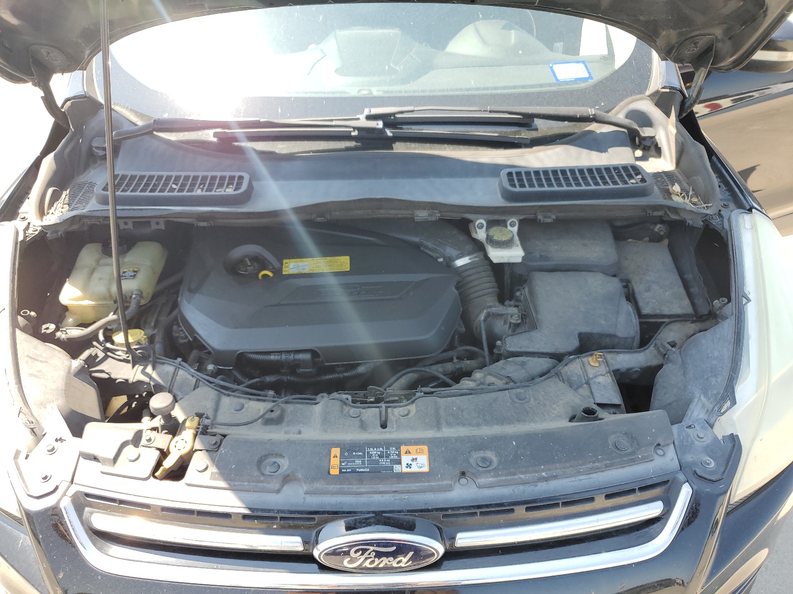 1FMCU0HX4DUC52024 2013 Ford Escape Sel