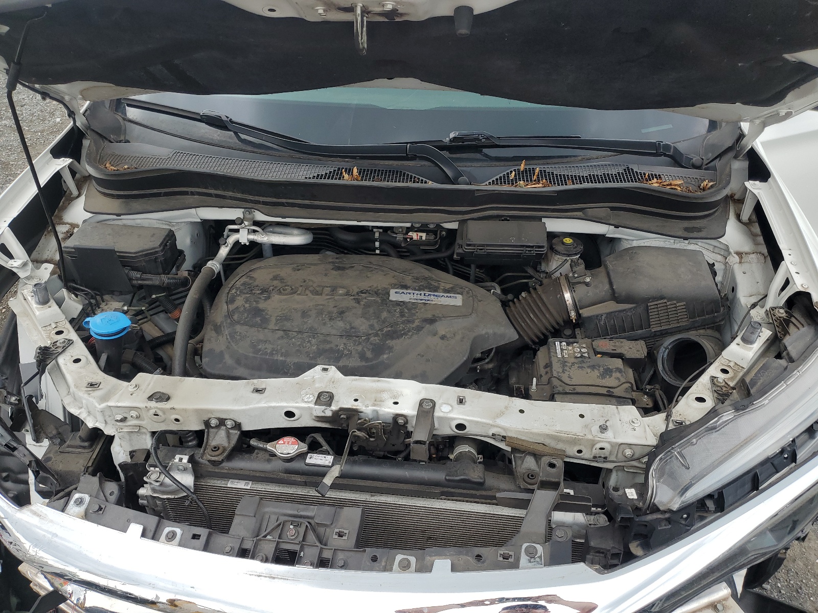 5FNYF6H58LB021625 2020 Honda Pilot Exl