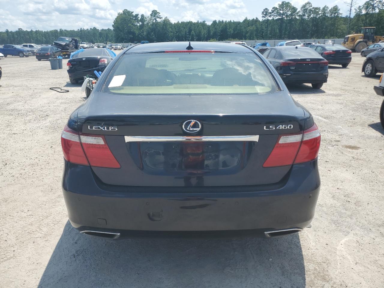 2009 Lexus Ls 460 VIN: JTHBL46F995091285 Lot: 65237154