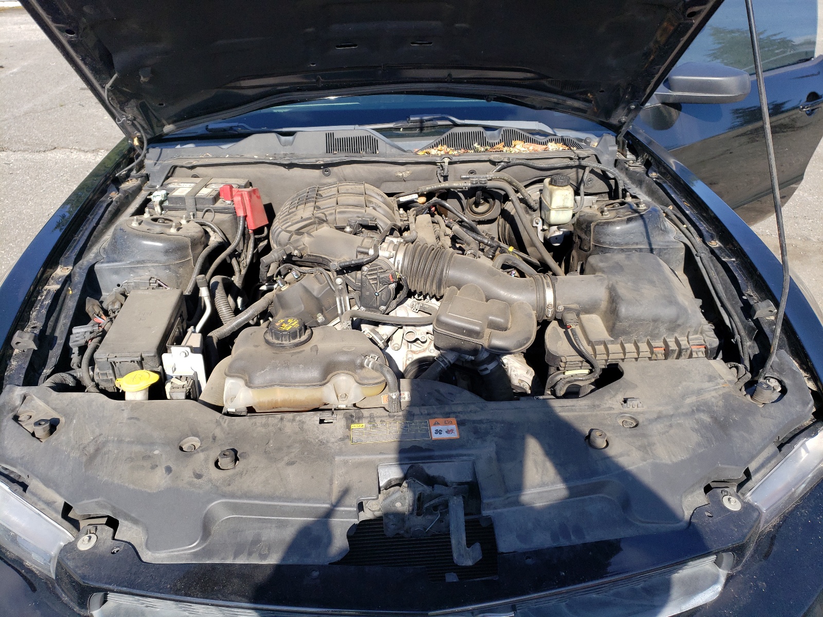 1ZVBP8AM6C5257804 2012 Ford Mustang