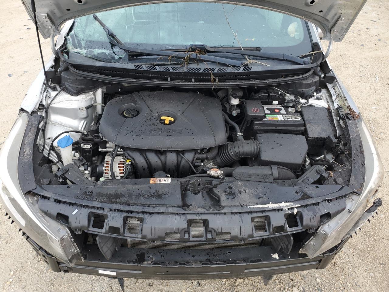 2017 Kia Forte Lx VIN: KNAFK5A86H5719075 Lot: 65249284